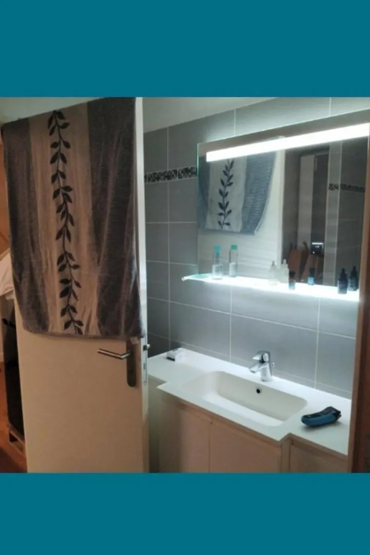 Location D'Une Chambre Et D'Une Salle De Bain Privee Dans Mon Appartement Ou Je Reside Egalement Pendant Votre Sejour Lyon