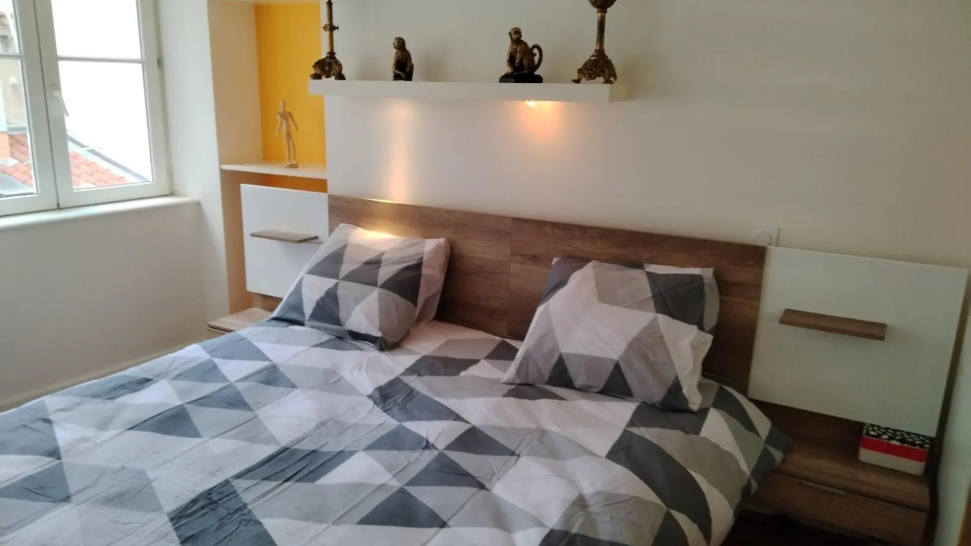 Pansiyon Location D'Une Chambre Et D'Une Salle De Bain Privee Dans Mon Appartement Ou Je Reside Egalement Pendant Votre Sejour Lyon Fransa